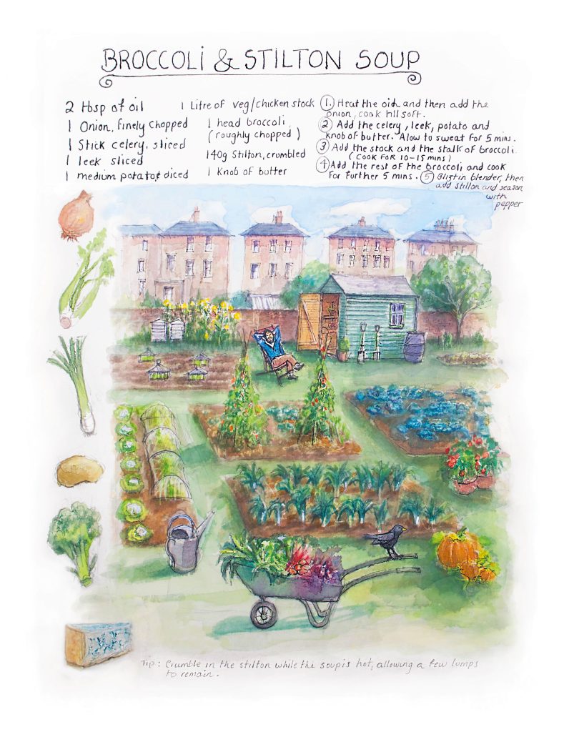 Watercolour painting of a recipe for broccoli and stilton soup. The images are of a gardener relaxing on a deckchair next to the vegetable patches. There is also a bee-hive a garden shed, and a wheelbarrow full of vegetables . And a crow on the handle of the wheel barrow. There are also garden tools leaning against the shed.